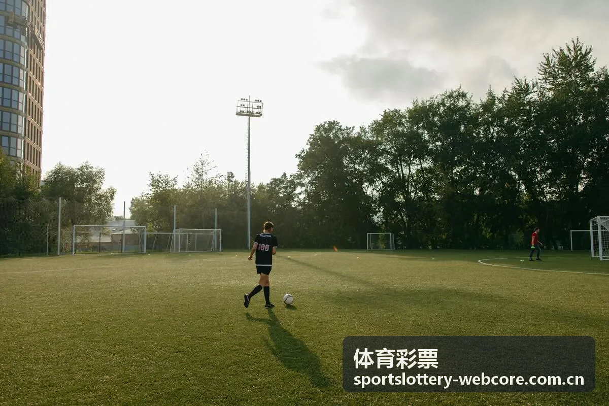 体育彩票规则说明与票面信息阅读